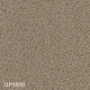 color chip