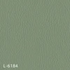 color chip