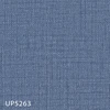 UP5263