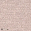 color chip