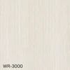 WR-3000