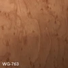 WG-763
