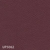 UP5062
