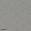 NS4503