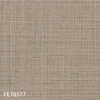 FE78577