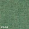 color chip