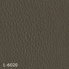 L-6020