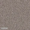 color chip
