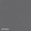 UP5002