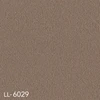 LL-6029