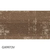 GX9973V