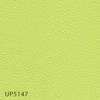 UP5147