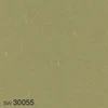 SW30055