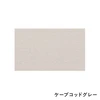 color chip