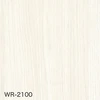 WR-2100