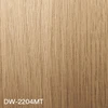 DW-2204MT