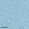 UP5120