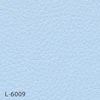 color chip