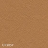 UP5057