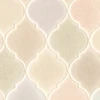 color chip