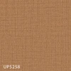 UP5258