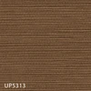 UP5313