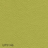 UP5146