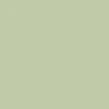 color chip