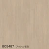 color chip