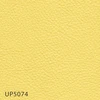 color chip
