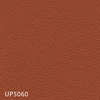 UP5060