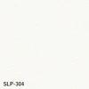 cs15-slp-304