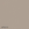 UP5213