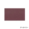 color chip