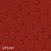 UP5397