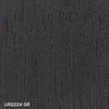 UR2224GR