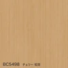 color chip