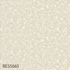 color chip