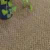 ブラウン