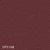 UP5168