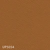UP5054