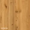 FE78194