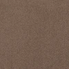 color chip