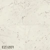 E21201