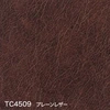 color chip