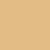color chip