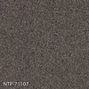 NTP-71107