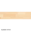 color chip