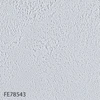 FE78543