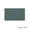 color chip